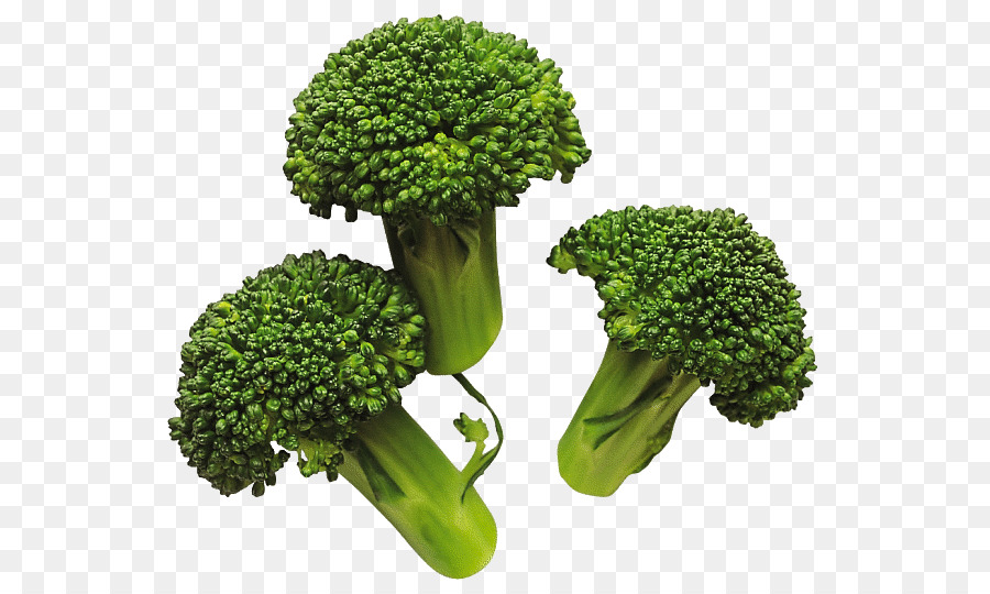 Broccoli Vegetable Clip art - broccoli png download - 600*533 - Free Transparent Broccoli png Download.