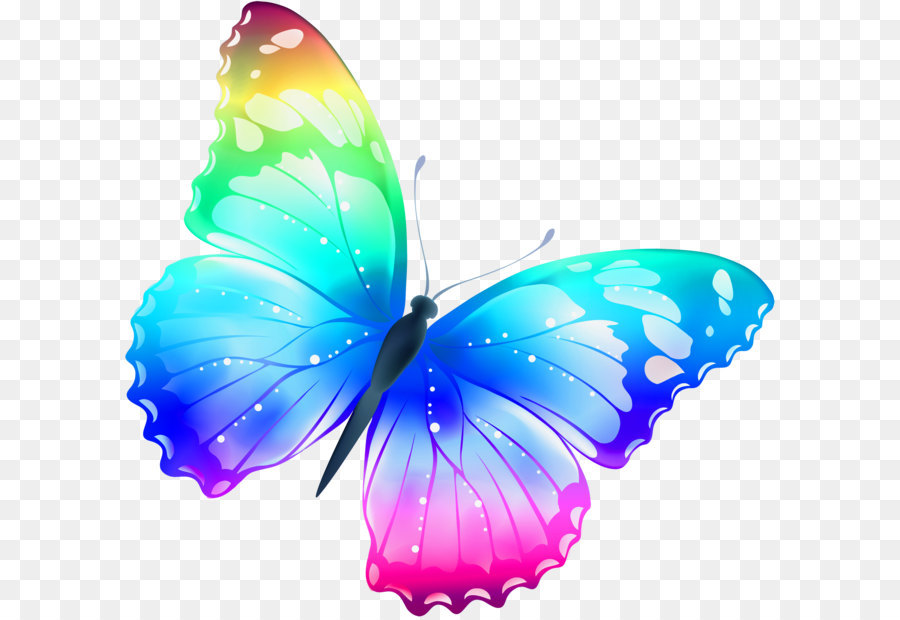 Butterfly Clip art - Large Transparent Multi Color Butterfly PNG Clipart png download - 2900*2755 - Free Transparent Butterfly png Download.
