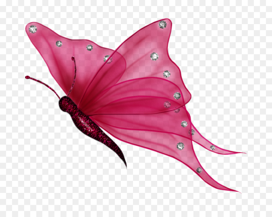 Butterfly Clip art - Flying Butterflies Transparent Background png download - 1024*801 - Free Transparent Butterfly png Download.