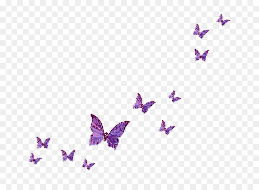 Fly Butterfly Clip art - butterfly png download - 800*642 - Free Transparent Butterfly png Download.