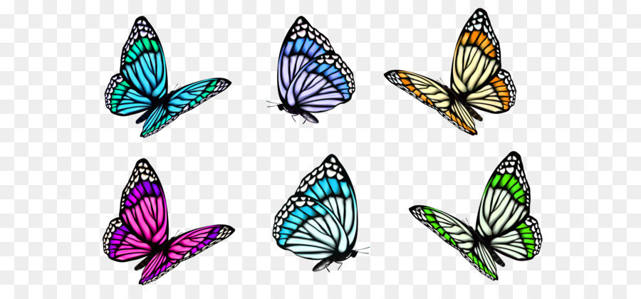 Full-Color Decorative Butterfly Illustrations Clip art - Transparent Butterfly Set PNG Clipart png download - 8165*5229 - Free Transparent Butterfly png Download.