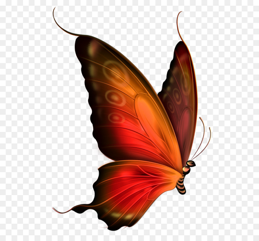 Butterfly Blue Clip art - Red and Brown Transparent Butterfly Clipart png download - 782*1000 - Free Transparent Butterfly png Download.