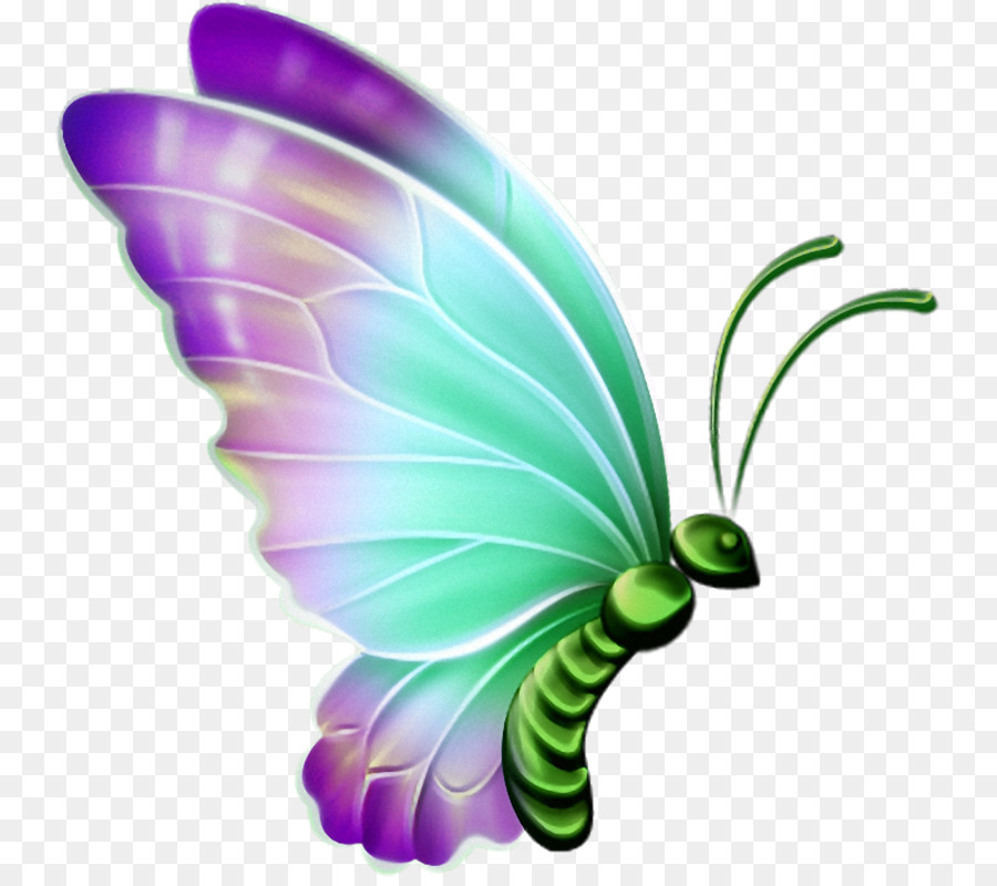 Clip art Portable Network Graphics Transparency Butterfly Openclipart - sketch of butterfly pictures png download - 800*792 - Free Transparent Butterfly png Download.