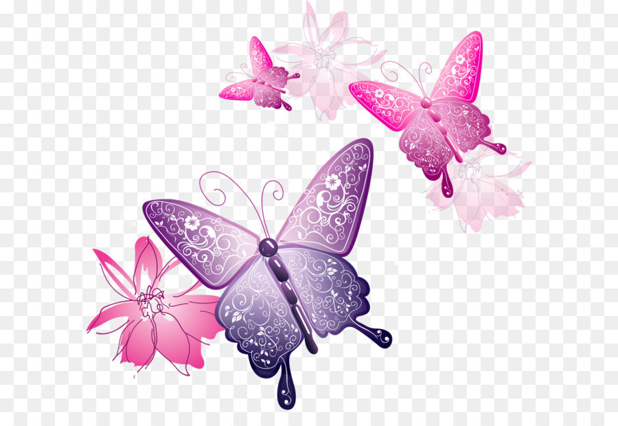 Butterfly Clip art - Transparent Butterfly Decorative Clipart png download - 1280*1201 - Free Transparent Butterfly png Download.