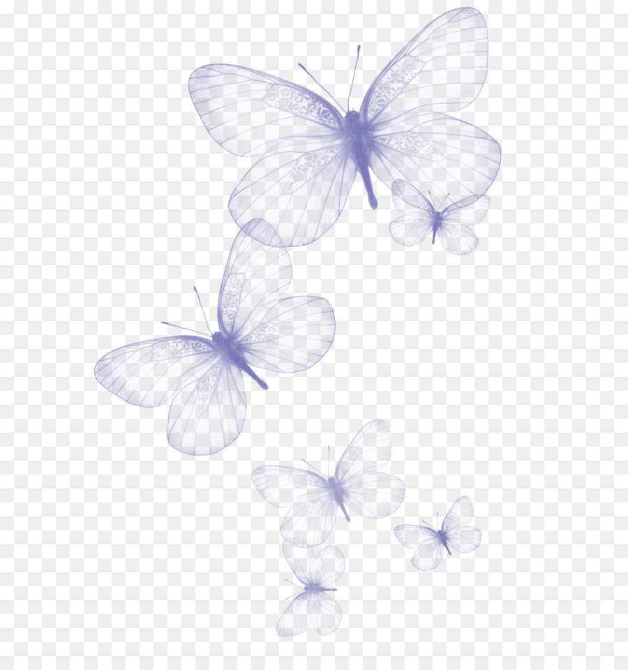Butterfly Clip art - Transparent Butterfly PNG Clipart Picture png download - 1422*2057 - Free Transparent Butterfly png Download.