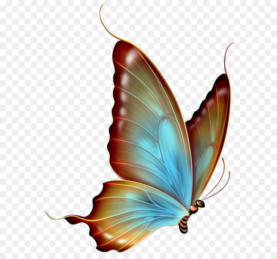 Butterfly Clip art - Brown and Blue Transparent Butterfly Clipart png download - 782*1000 - Free Transparent Butterfly png Download.