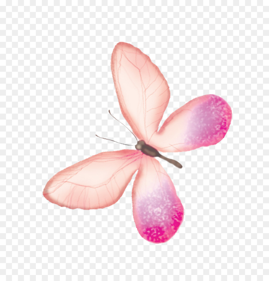 Butterfly Transparency and translucency - Pink Butterfly png download - 1151*1190 - Free Transparent Butterfly png Download.