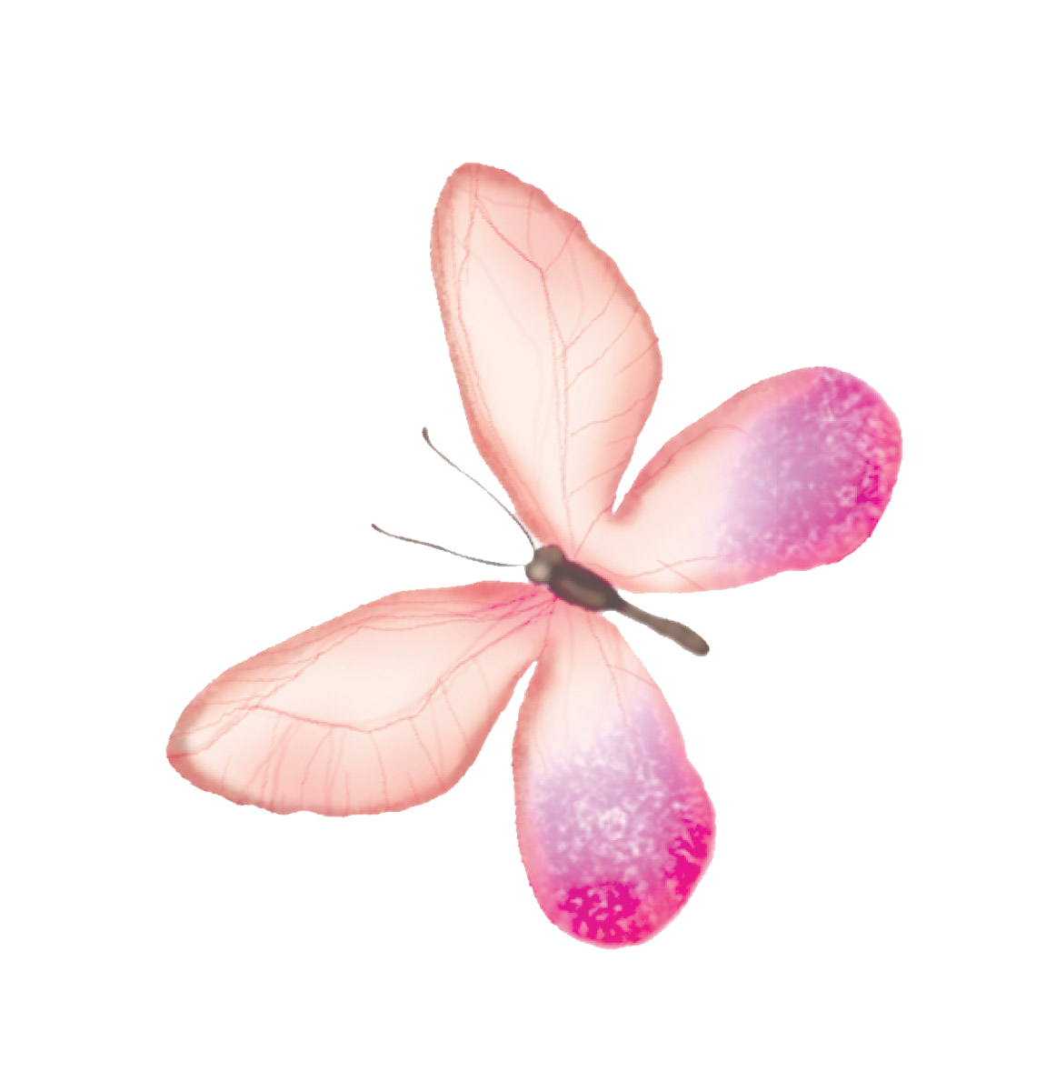 12 Png Butterfly Pink - Movie Sarlen14