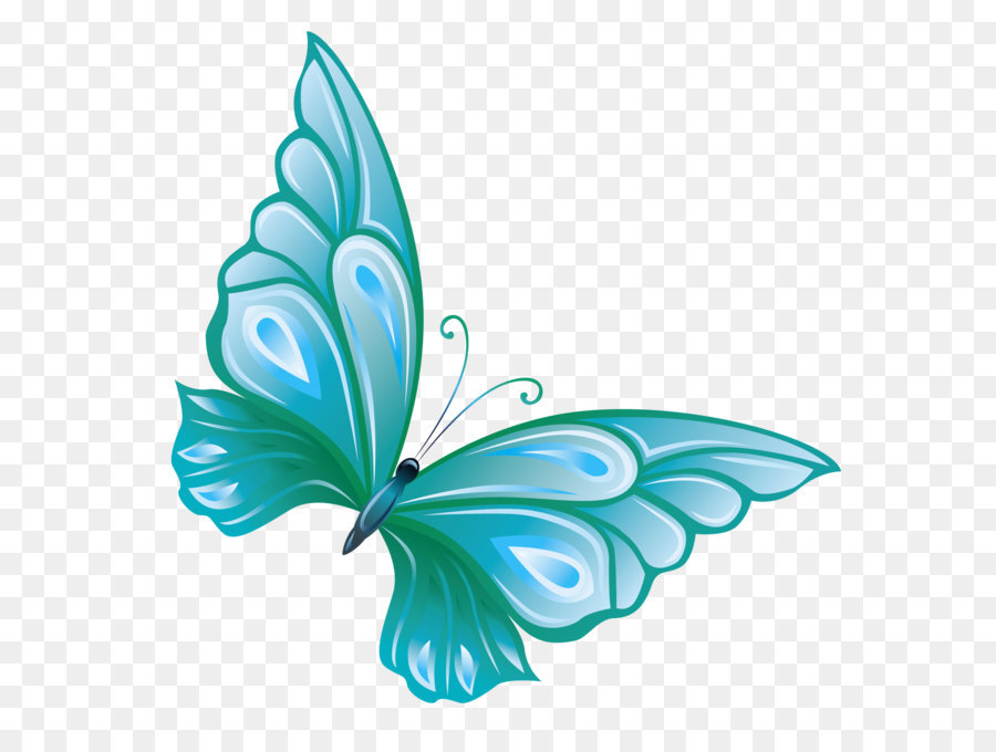 Butterfly Clip art - Transparent Blue Butterfly PNG Clipart png download - 1721*1776 - Free Transparent Butterfly png Download.