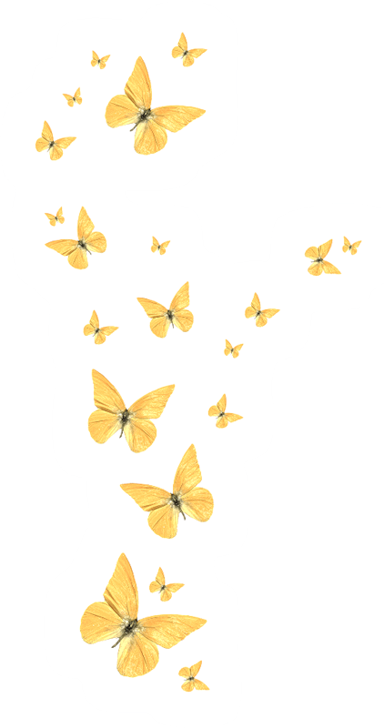 Butterfly - Golden butterfly png download - 422*800 - Free Transparent