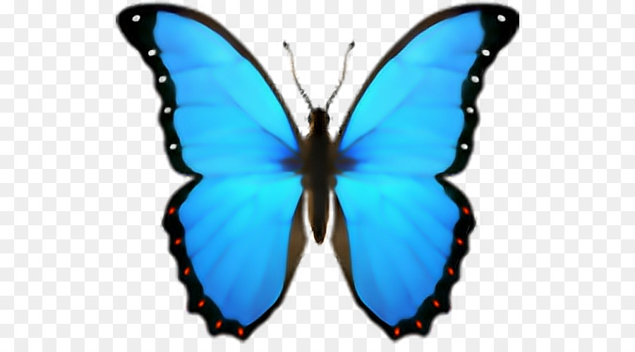 Butterfly Emoji domain iPhone iOS - butterfly png download - 572*488 - Free Transparent Butterfly png Download.