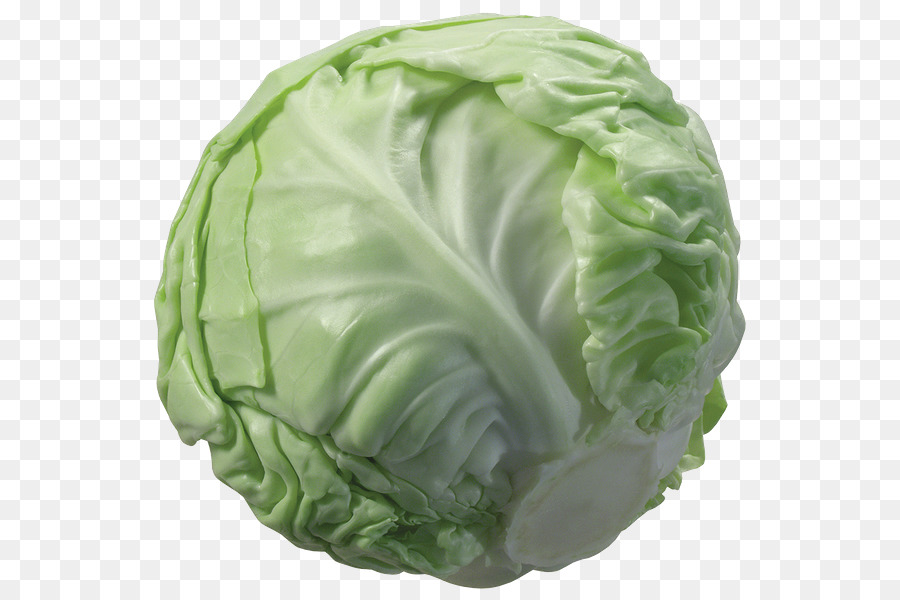 Napa cabbage Cauliflower Vegetable - cabbage png download - 600*600 - Free Transparent Cabbage png Download.