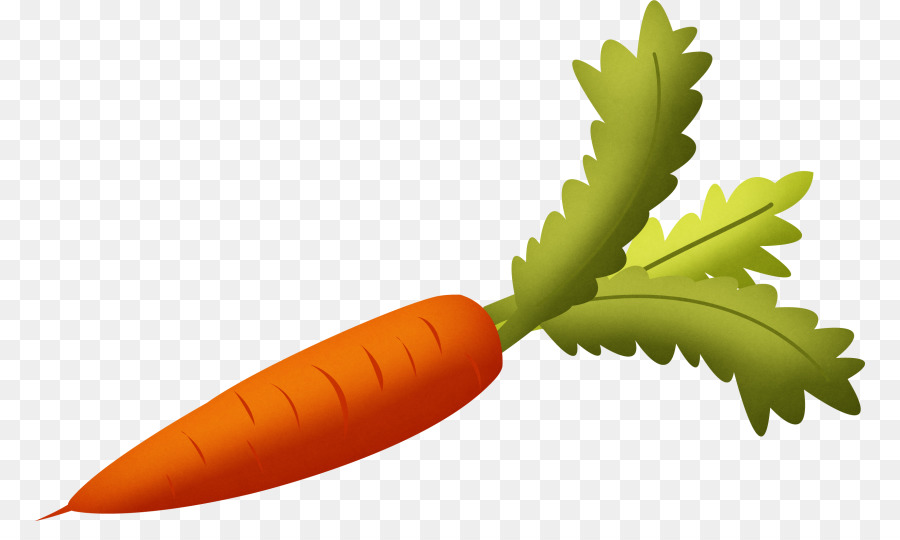 Carrot Vegetable Clip art - carrot png download - 830*521 - Free Transparent Carrot png Download.