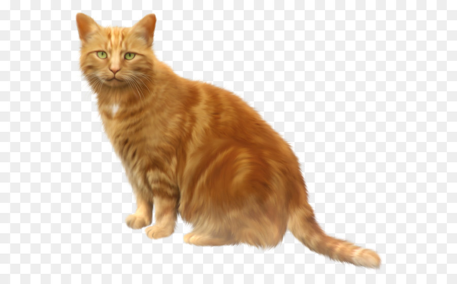 Riddle Android application package Game Download - Orange Cat Transparent PNG Clipart png download - 1253*1042 - Free Transparent Kurilian Bobtail png Download.