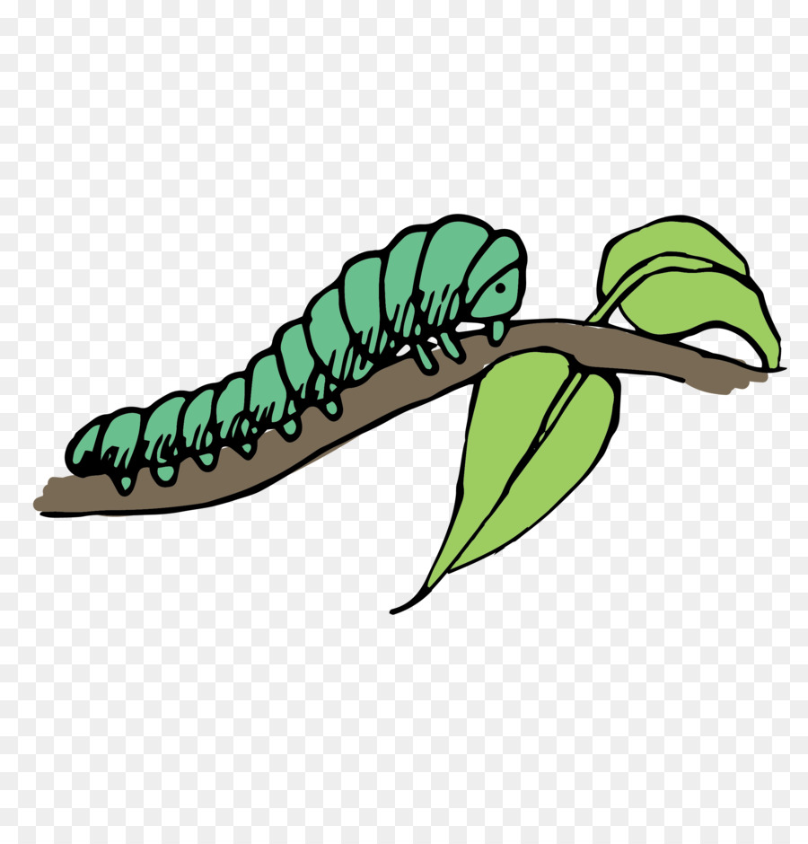 Caterpillar Clip art - Lying on the branches caterpillars png download - 2480*2542 - Free Transparent Caterpillar png Download.