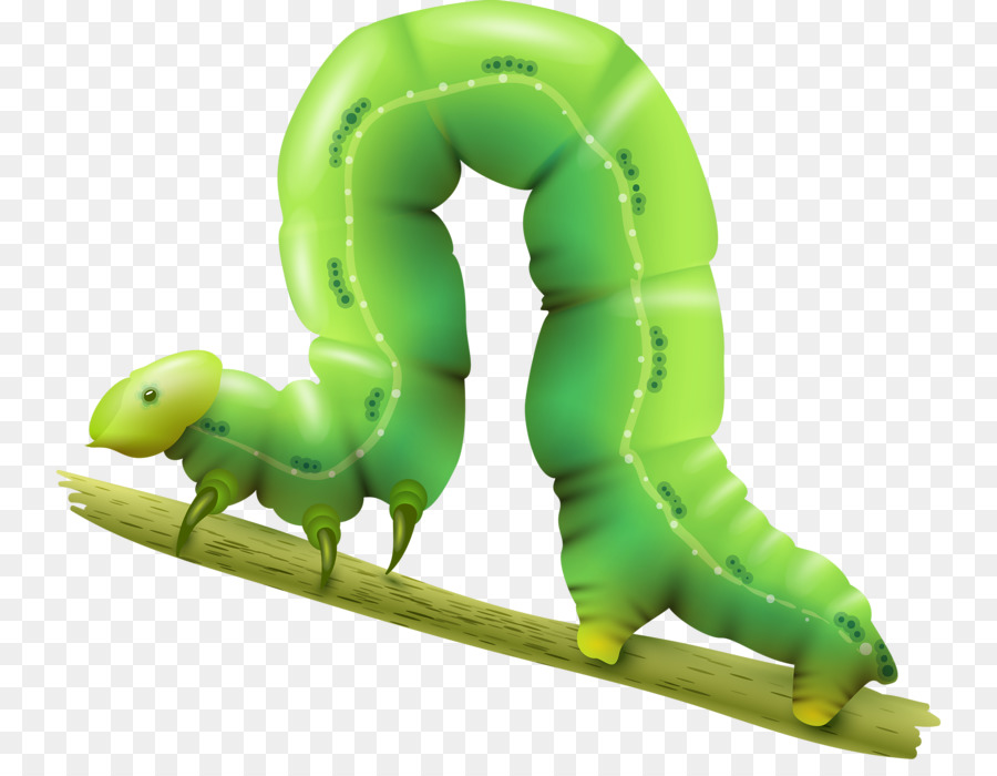 Caterpillar Inc. Clip art - Cyan insects png download - 800*685 - Free Transparent Caterpillar Inc png Download.
