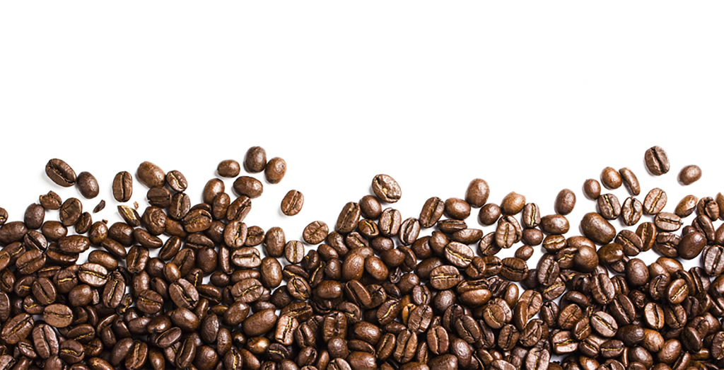 Download 21 Coffee-bean-transparent-background 10-Watercolor-Coffee-Bean-PNG-Transparent-OnlyGFXcom.png
