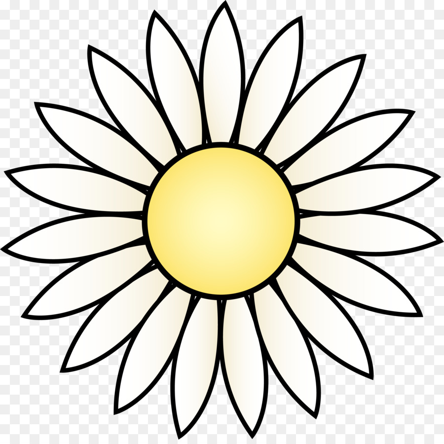 Common sunflower Drawing White Black Clip art - Transparent Daisy Cliparts png download - 4701*4656 - Free Transparent Common Sunflower png Download.