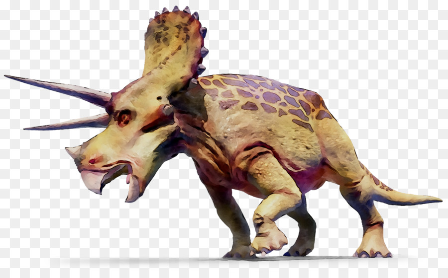 Triceratops Dinosaur GIF Tyrannosaurus Geography Clipart -  png download - 1655*1010 - Free Transparent Triceratops png Download.