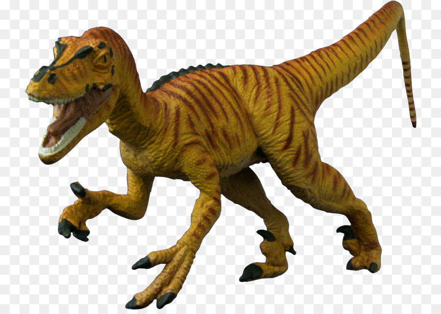 Dinosaur Jurassic Park - dinosaurs png download - 800*631 - Free Transparent Dinosaur png Download.