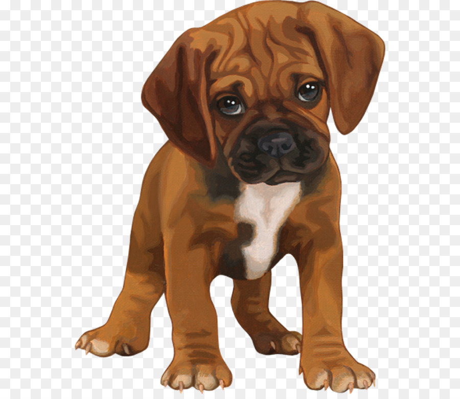 Puppy Portable Network Graphics Clip art Image GIF - puppy png download - 608*770 - Free Transparent Puppy png Download.
