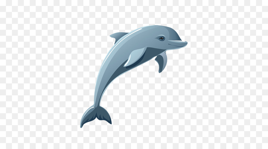 Dolphin Cartoon Drawing Clip art - dolphin png download - 500*500 - Free Transparent Dolphin png Download.