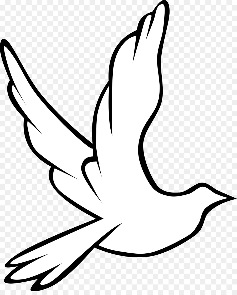 Holy Spirit in Christianity Doves as symbols Drawing Clip art - Dove Images Pictures png download - 3333*4097 - Free Transparent Holy Spirit png Download.