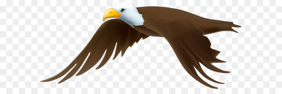 Eagle Clip art - Eagle Transparent PNG Clip Art Image png download - 8000*3583 - Free Transparent Eagle png Download.