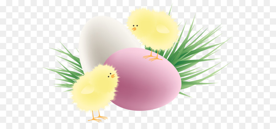 Chicken Red Easter egg Clip art - Transparent Easter Chickens Eggs and Grass PNG Clipart Picture png download - 4152*2608 - Free Transparent Easter Bunny png Download.