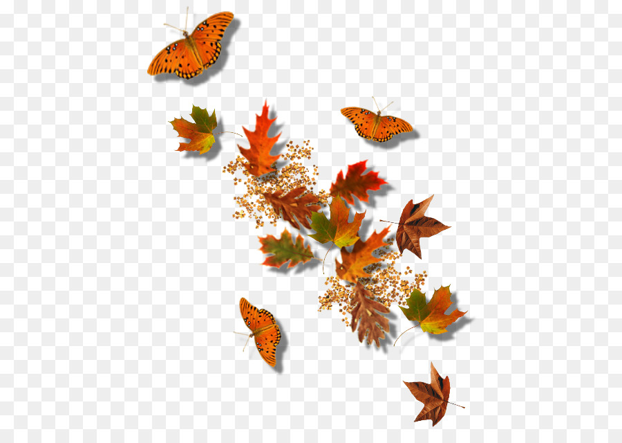 Autumn Picture frame Clip art - Falling leaves and butterflies png download - 510*627 - Free Transparent Autumn png Download.