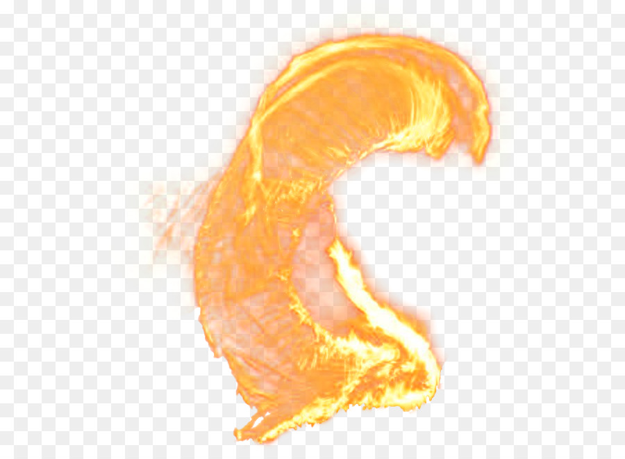 Flame Combustion Download - Brush fire png download - 599*646 - Free Transparent Flame png Download.