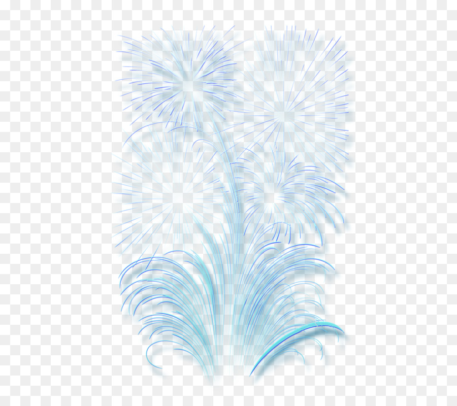 Clip art Fireworks Image Vector graphics GIF - fireworks png download - 551*800 - Free Transparent Fireworks png Download.