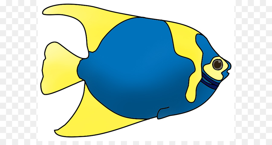 Fish Clip art - Fish Clip Art png download - 703*505 - Free Transparent Fish png Download.