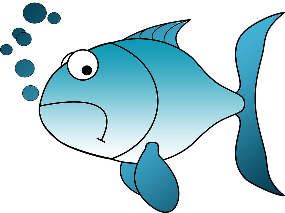 Saltwater fish Clip art - fish png download - 960*719 - Free