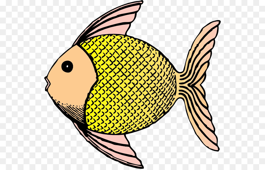 Goldfish Clip art - Fish Cliparts png download - 600*576 - Free Transparent Goldfish png Download.