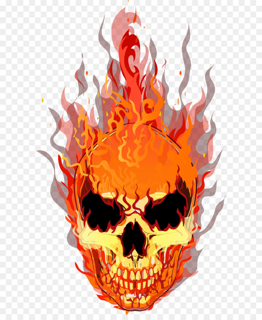 Skull T-shirt Fire Flame - Vector Skull png download - 1596*2658 - Free Transparent Skull png Download.