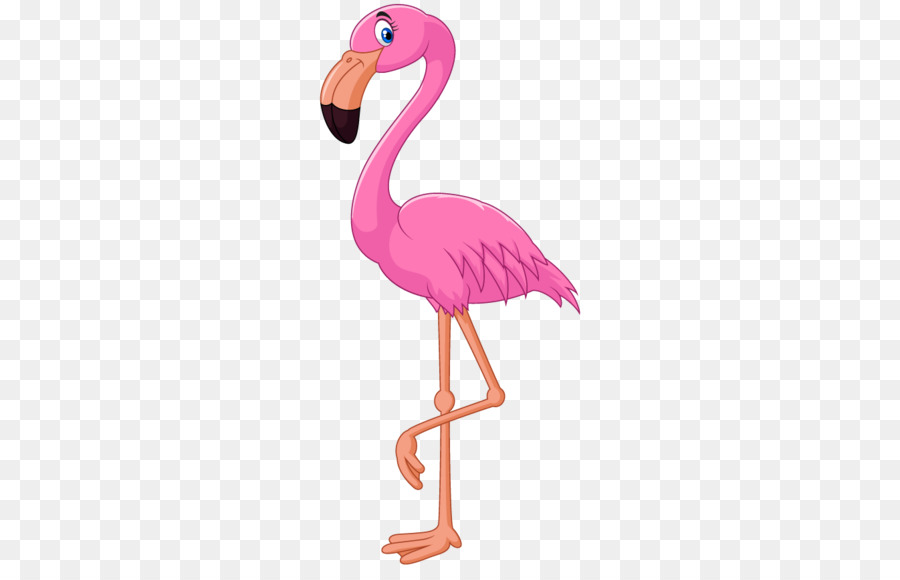 Flamingo Cartoon Clip art - flamingo png download - 1346*848 - Free Transparent Flamingo png Download.