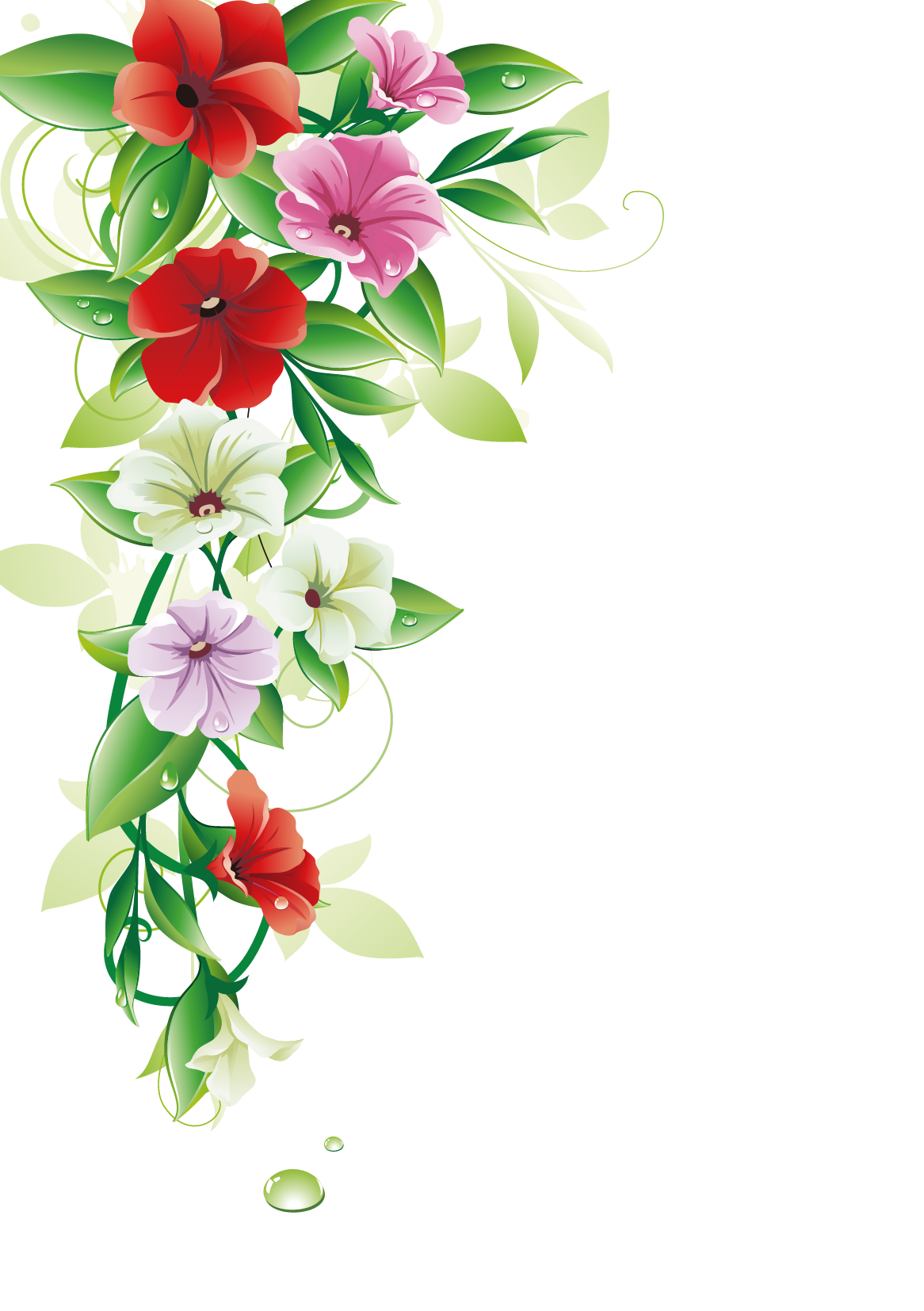 flower-clip-art-flower-border-png-download-1166-1654-free