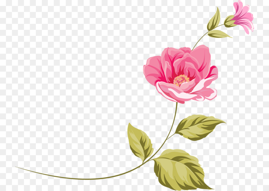 Floral design Flower Clip art - flower png download - 800*639 - Free Transparent Floral Design png Download.