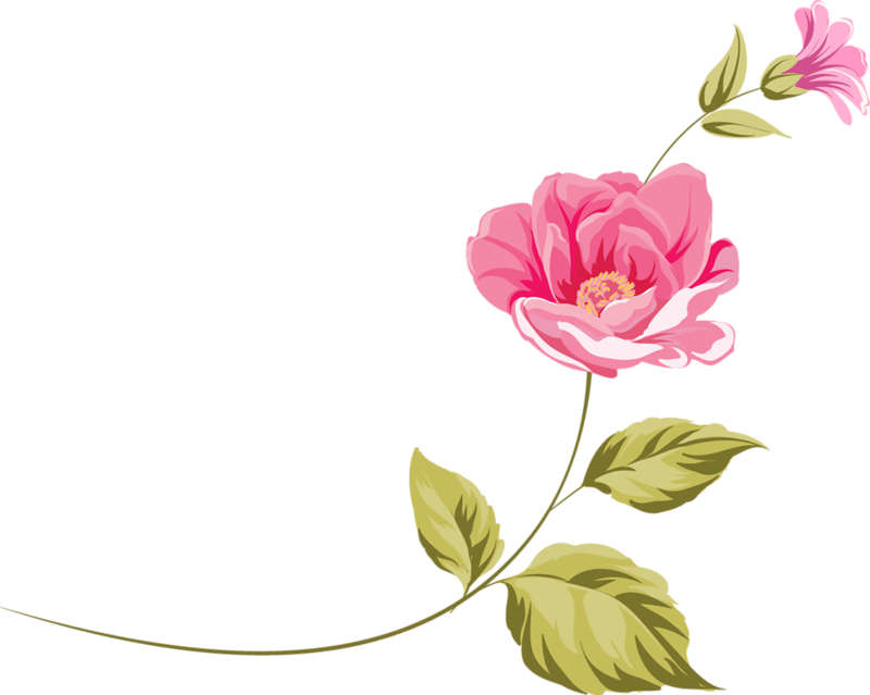 Floral design Flower Clip art - flower png download - 800*639 - Free