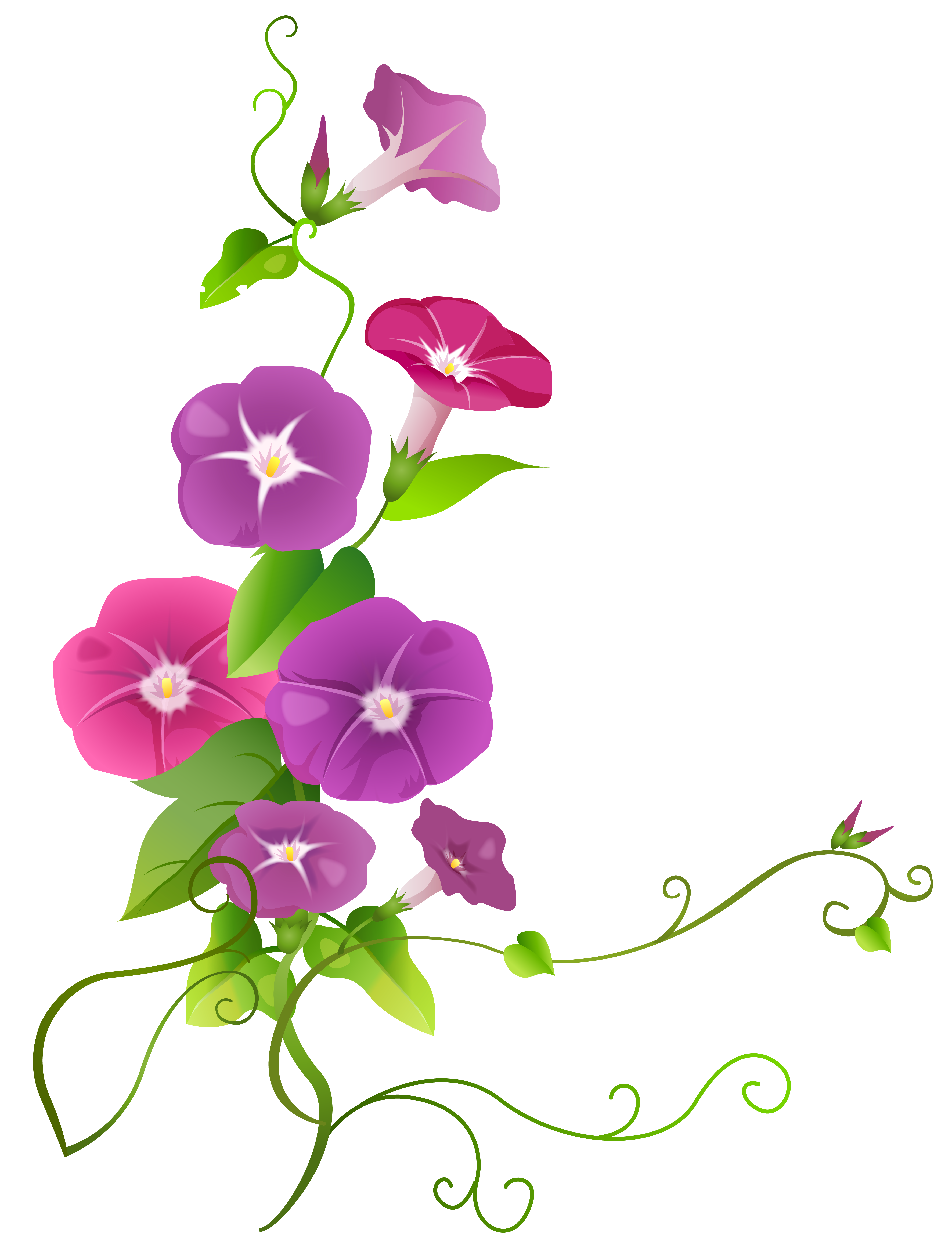 Flower Drawing Clip art - flower art png download - 5448*7143 - Free
