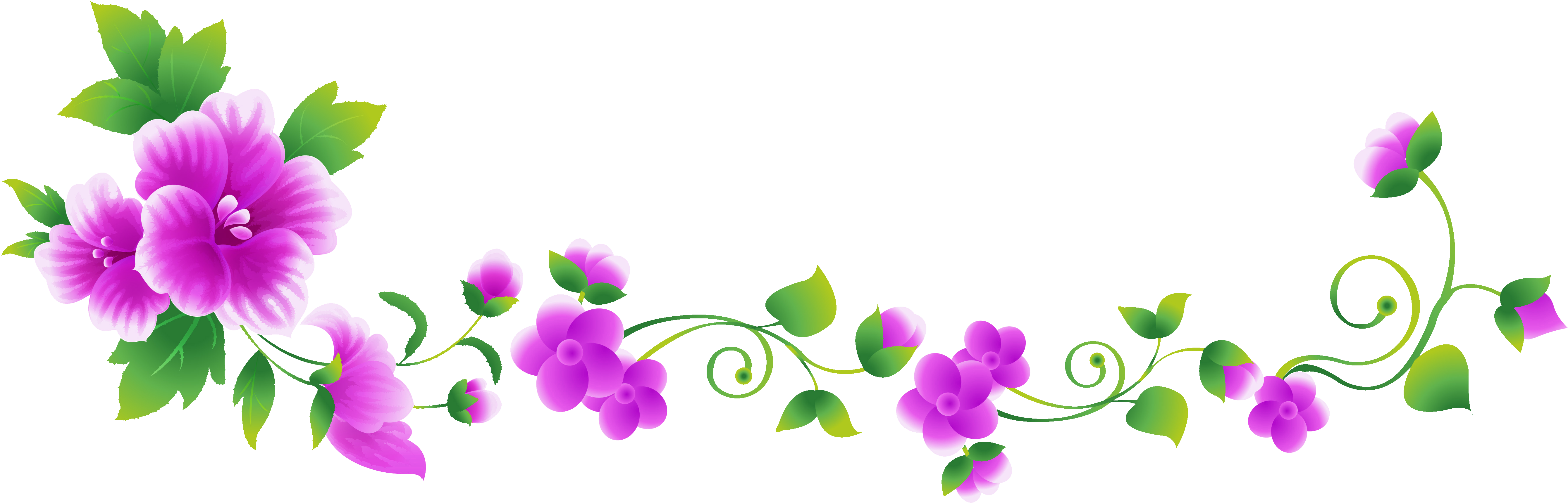 Flower Clip art - flower line png download - 5361*1722 - Free