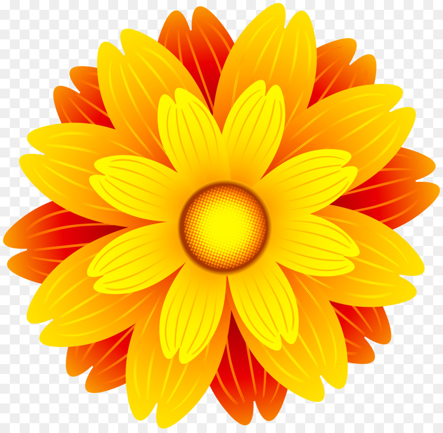 Flower Orange Clip art - marigold png download - 6000*5849 - Free Transparent Flower png Download.