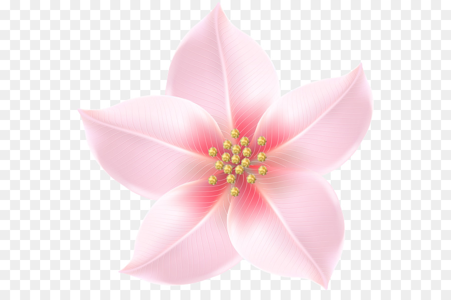 Clip art Image Portable Network Graphics Transparency Flower - flower decorative png download - 600*584 - Free Transparent Flower png Download.