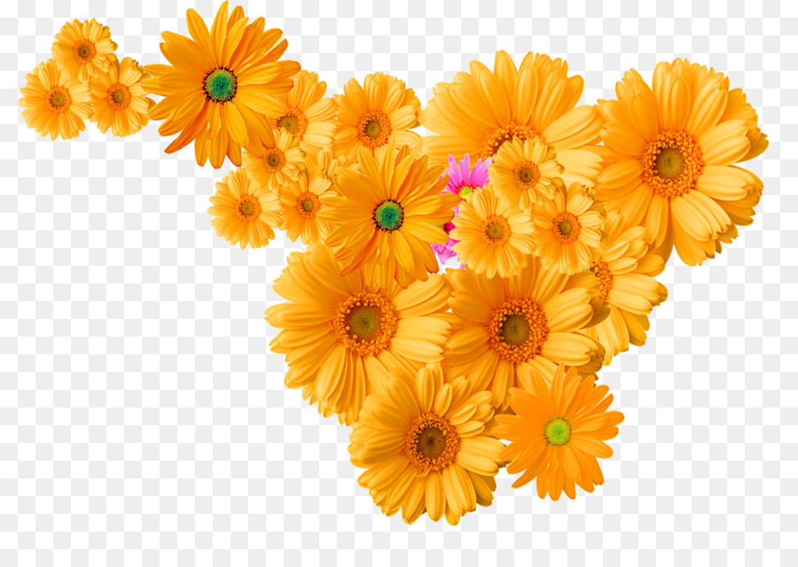 Flower Chrysanthemum Icon - Yellow chrysanthemum decoration pattern png download - 2466*1732 - Free Transparent Flower png Download.