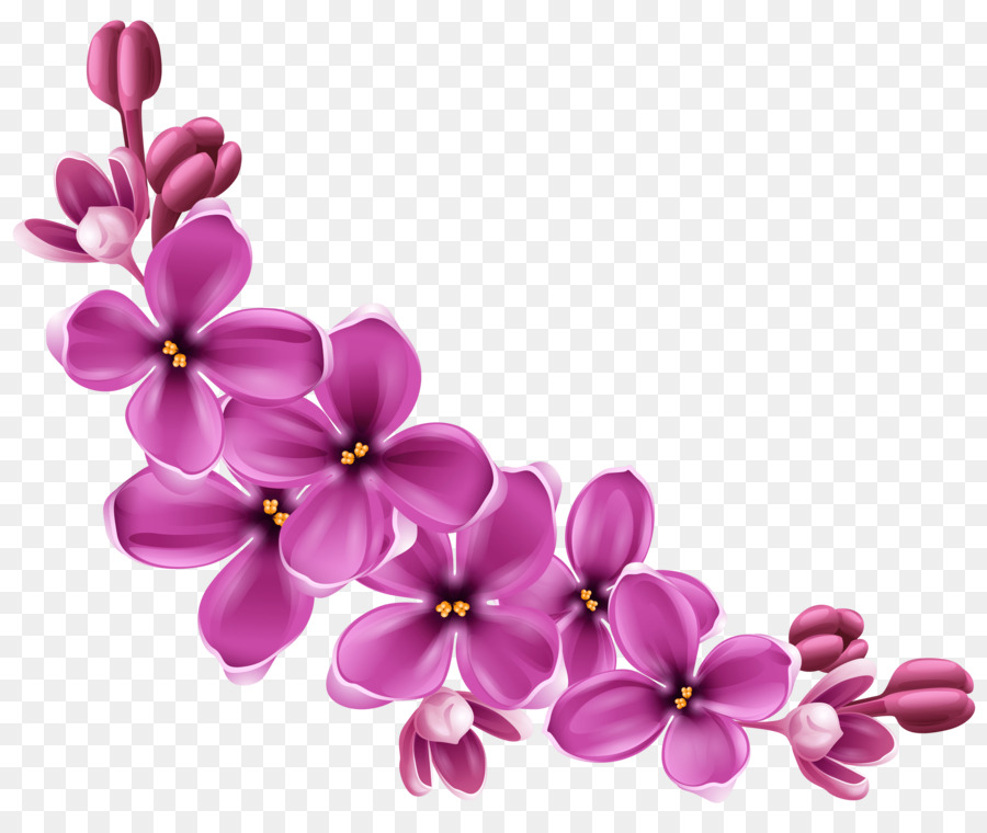 Flower Clip art - flower png png download - 3000*2495 - Free Transparent Flower png Download.