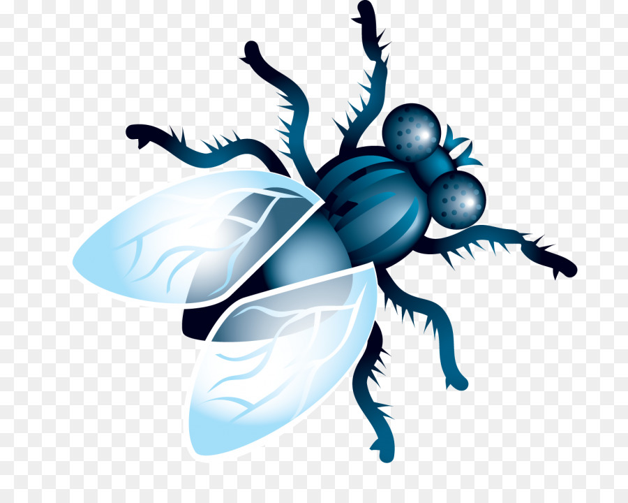 Fly Clip art - fly png download - 768*709 - Free Transparent Fly png Download.