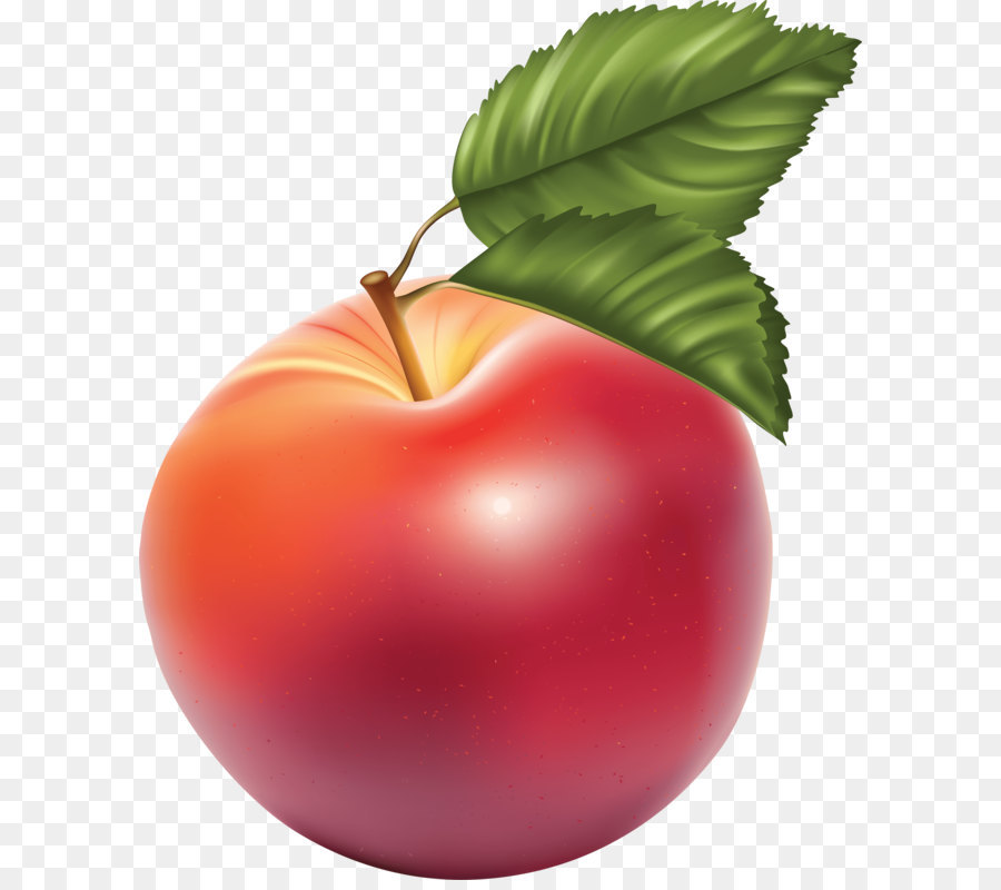 Apple Fruit Clip art - Png Apple Image Clipart Transparent Png Apple png download - 2877*3499 - Free Transparent Fruit png Download.