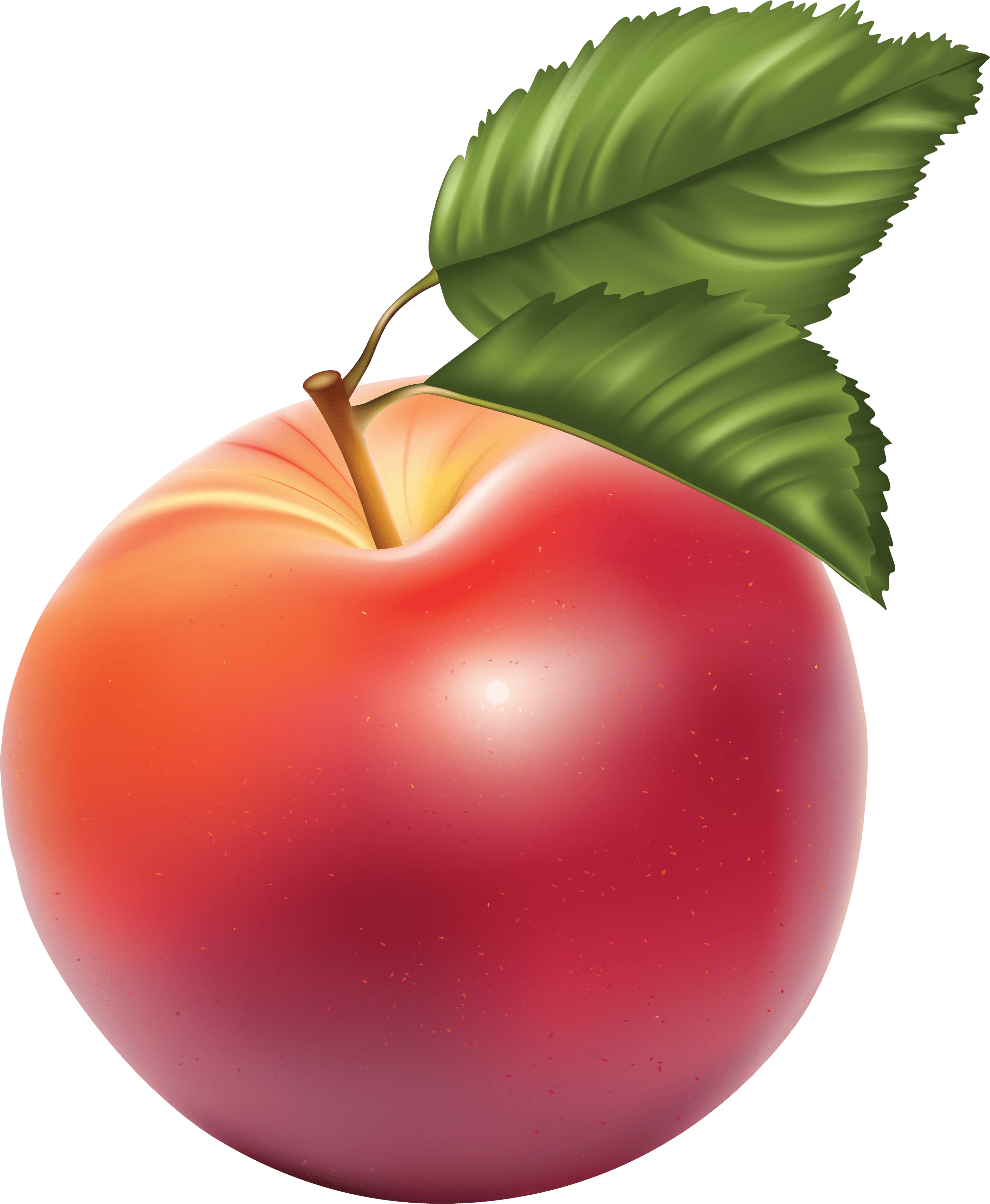 Apple Fruit Clip Art Png Apple Image Clipart Transparent Png Apple