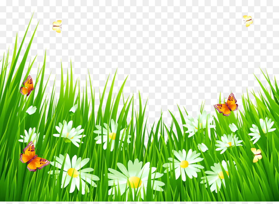 Flower Free content Clip art - Flower Grass Cliparts png download - 5000*3623 - Free Transparent Flower png Download.